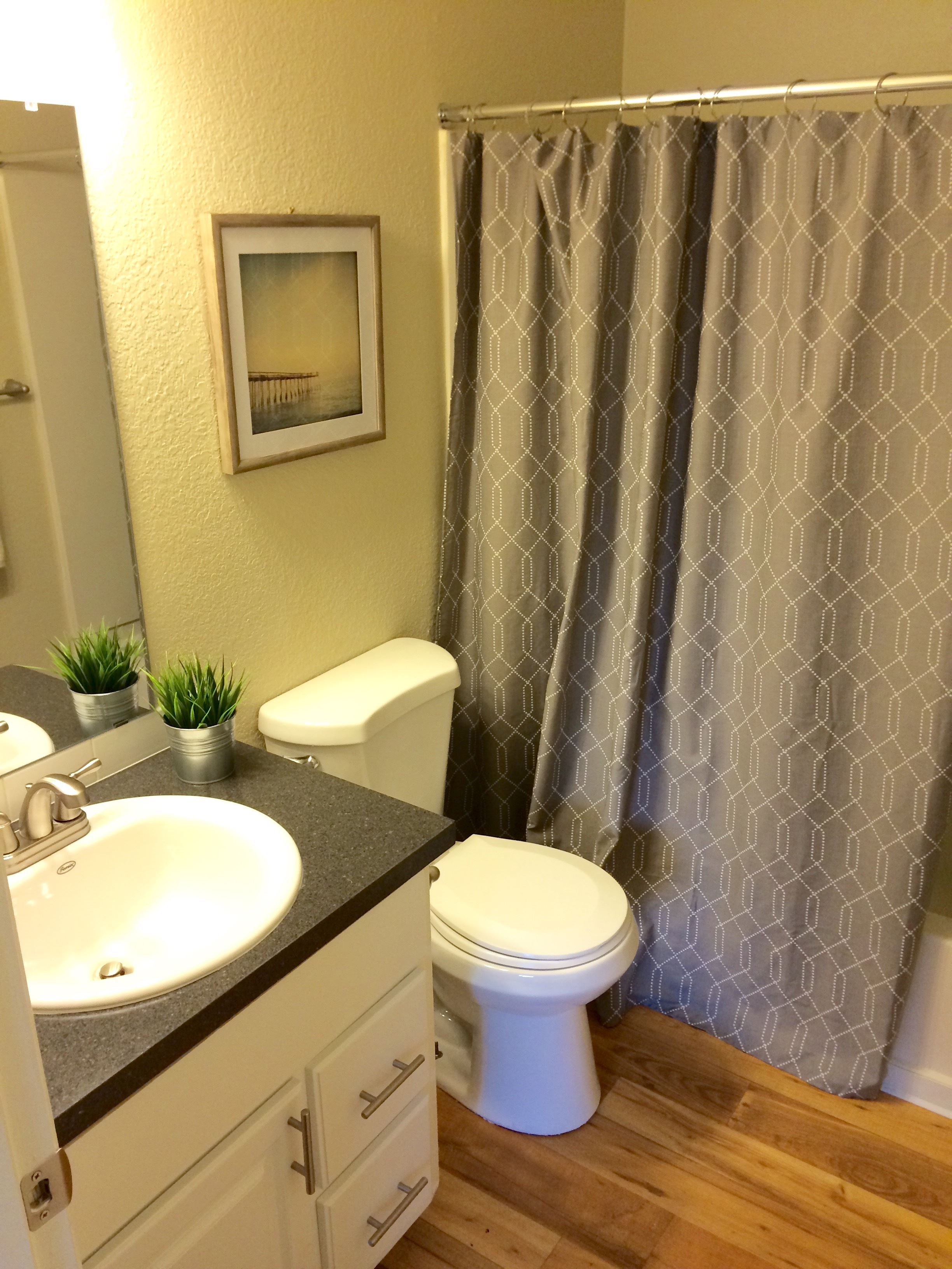 Lumina Apartments Image 14