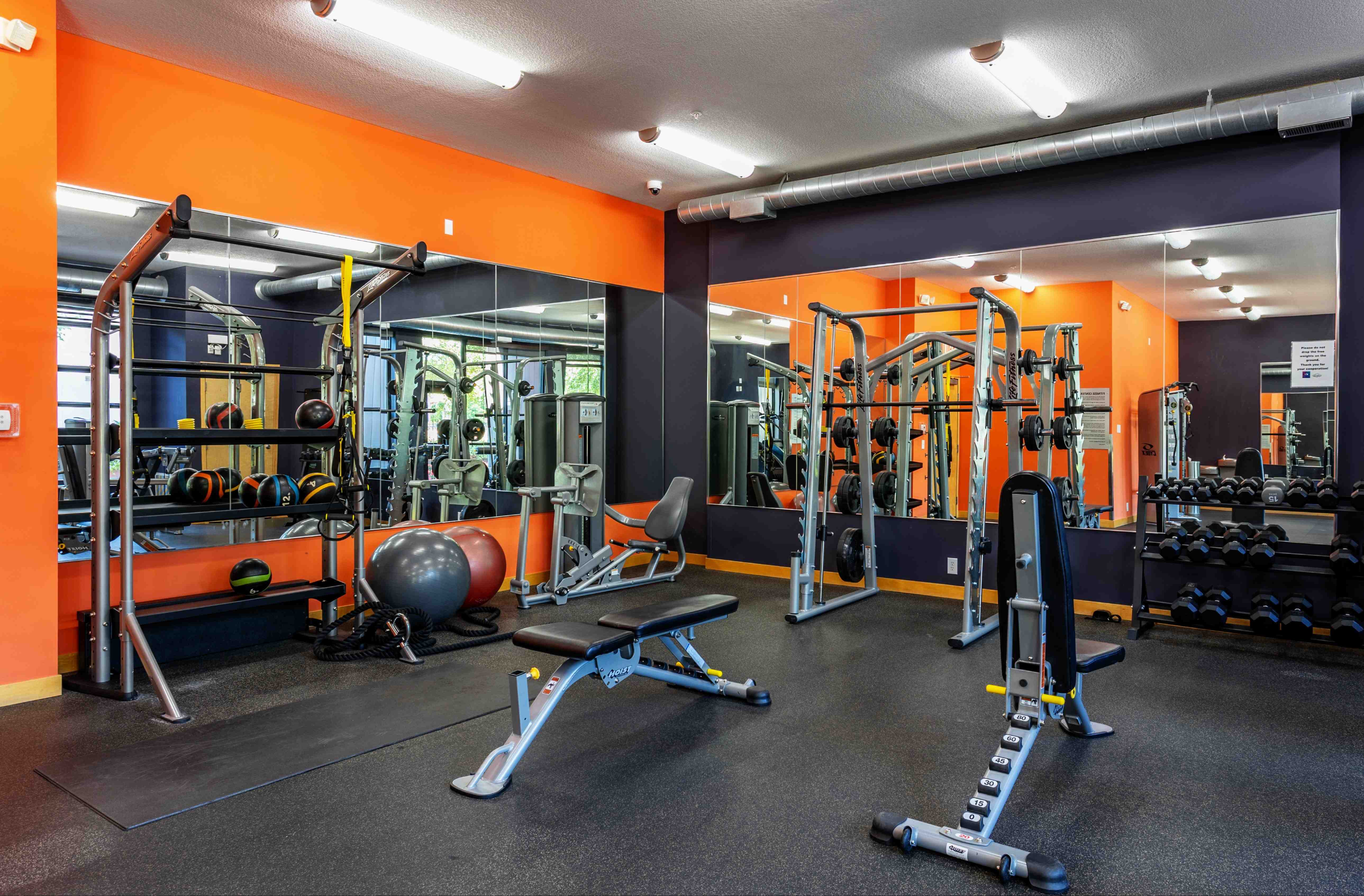 The Murals of LynLake Image 13