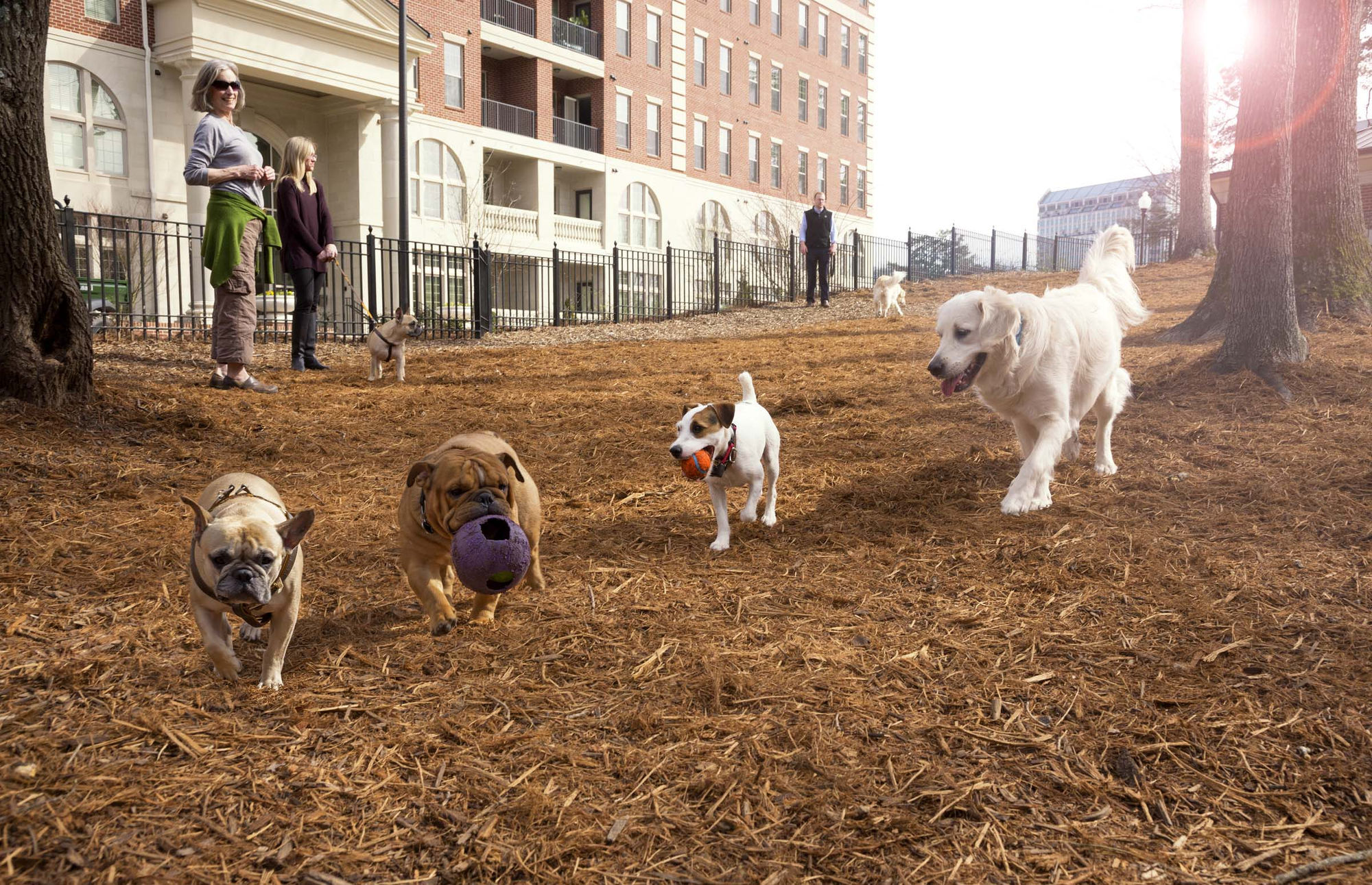 Camden Paces Image 34