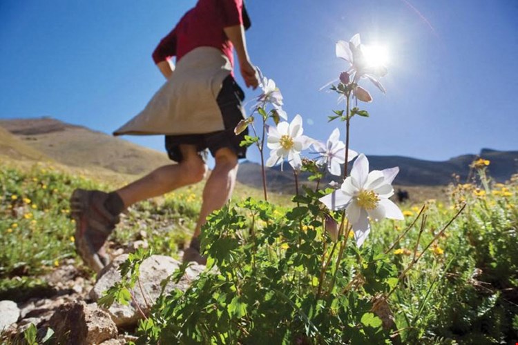 Trail Ridge at Woodland Park Image 21