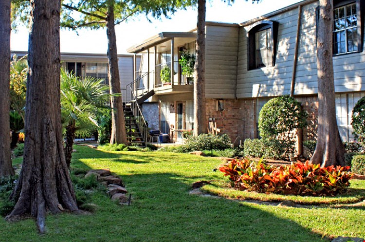 Waters of Winrock Apartments Image 5