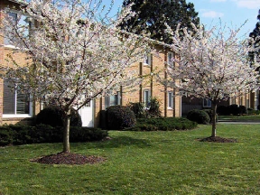 Cedarfield at Churchland Apartments Image 2