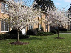 Cedarfield at Churchland Apartments Image 2