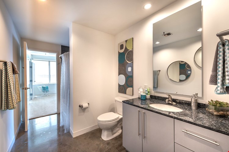 Mosaic Dallas Image 29