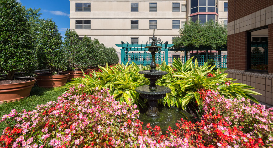 Garden & Fountain