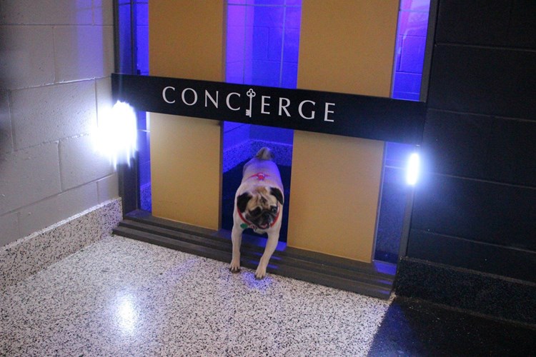 Concierge Image 20