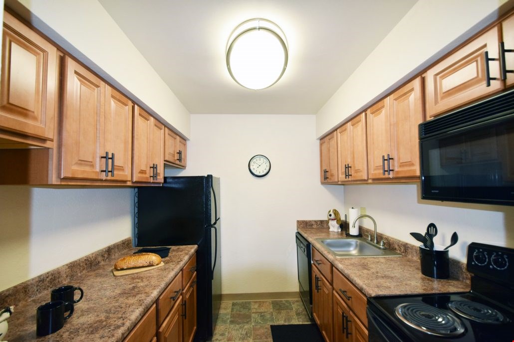 1-Bedroom Apartments: The Perfect Balance of Comfort and Affordability