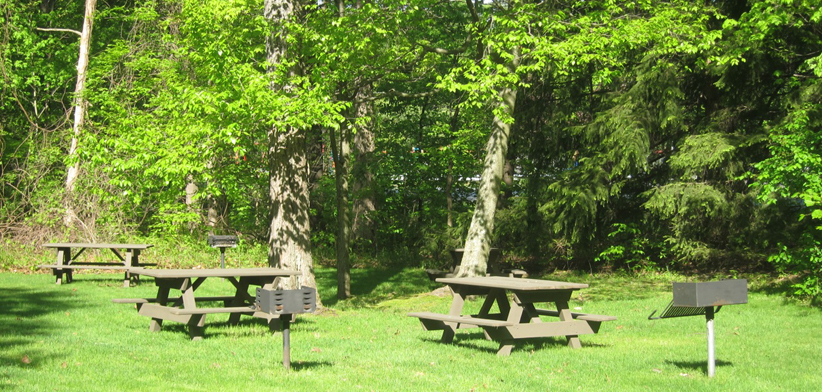 Crescent Village Apartments Image 4