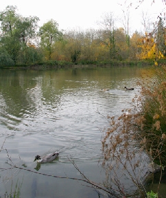 Lakeview Park Image 3