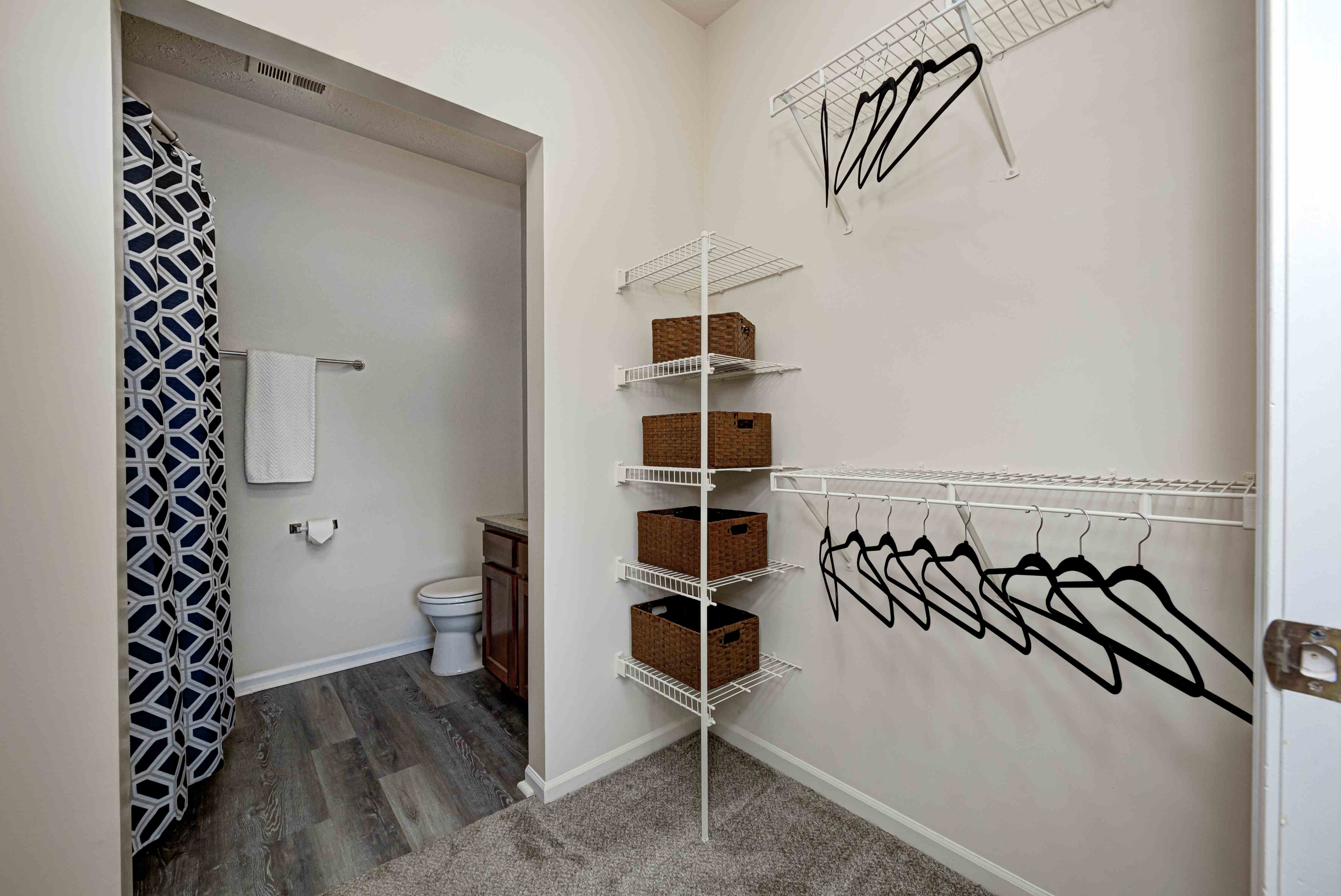 Autumn Chase Image 12