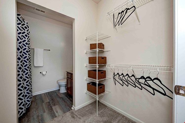 Autumn Chase Image 12