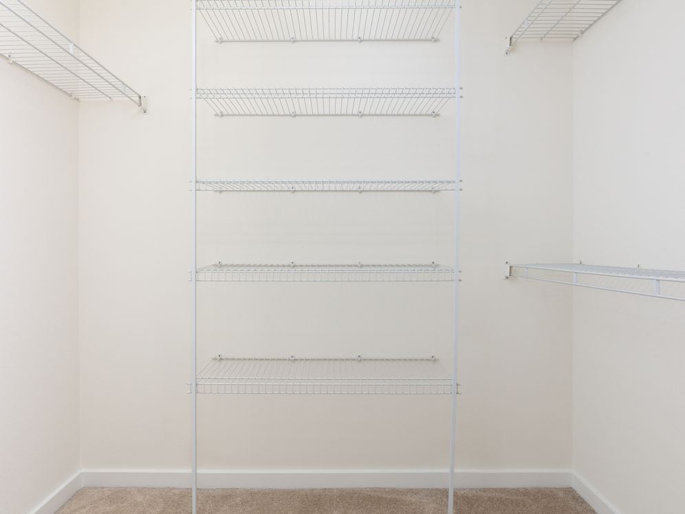 Spacious walk-in closet