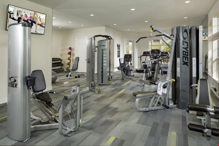 Camden Royal Palms Image 17