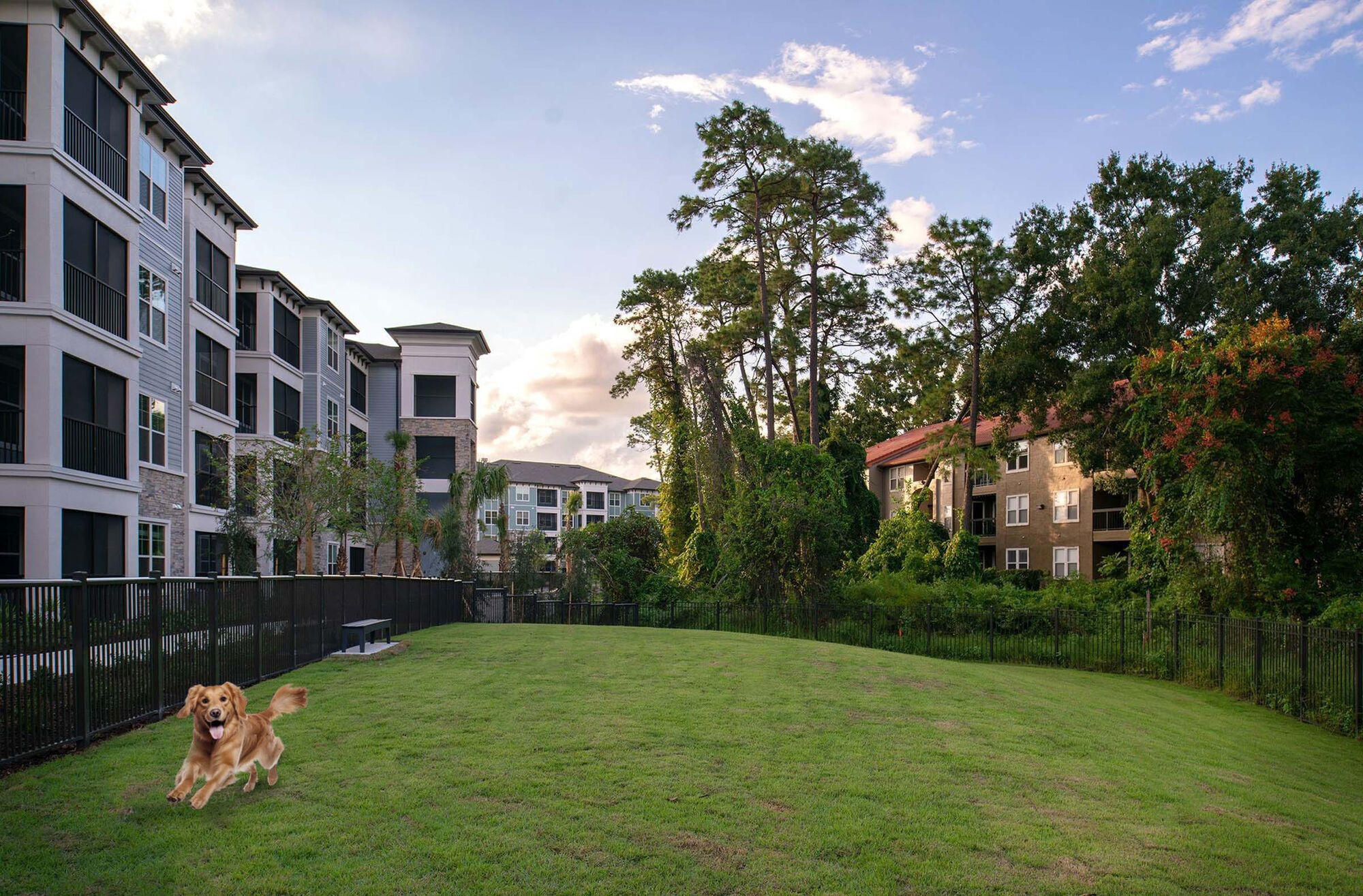 Camden Lake Buena Vista Image 5