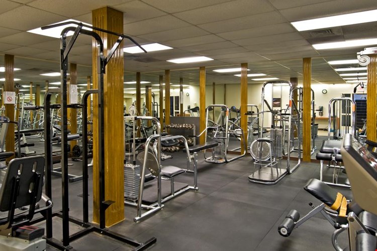 Paladin Club Image 7