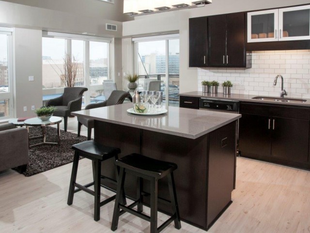 Kitchens Feature Double-Dipped Espresso Cabinetry, Option of White or Gray Quartz and Stainless Steel Appliances