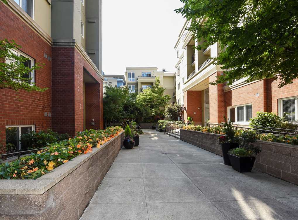 AMLI at Bellevue Park Image 19