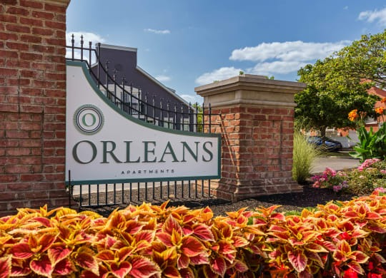 Orleans Image 1