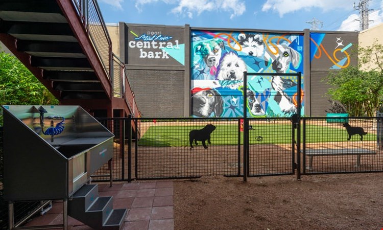 Pearl Midlane Image 7