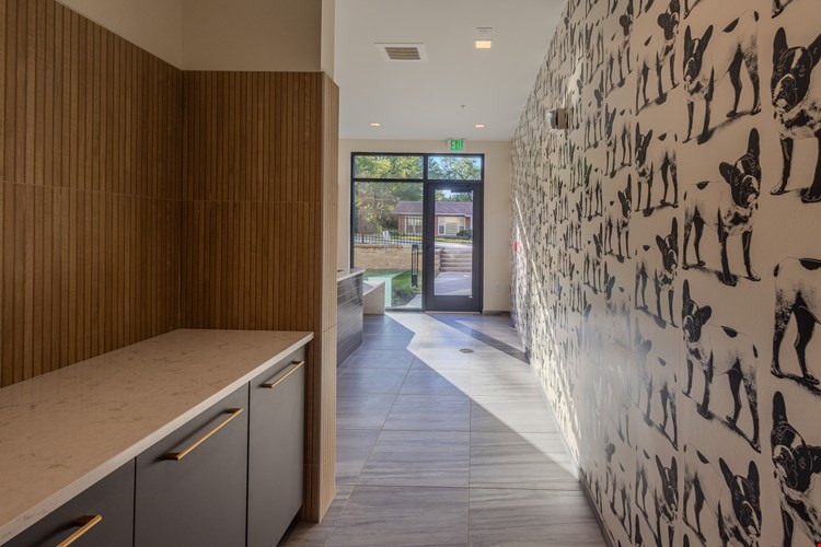 The Clover at Olive Crossing Image 53