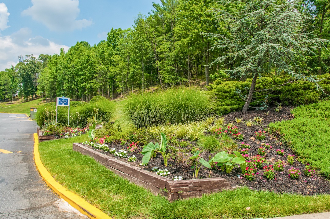 Highview Terrace Image 26