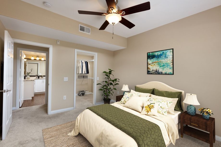 Camden Old Creek Image 12