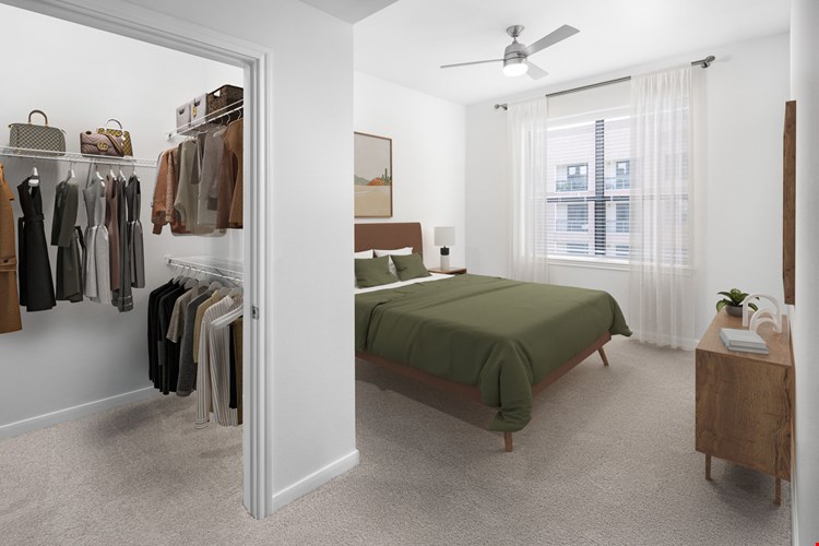 Camden Travis Street Image 4