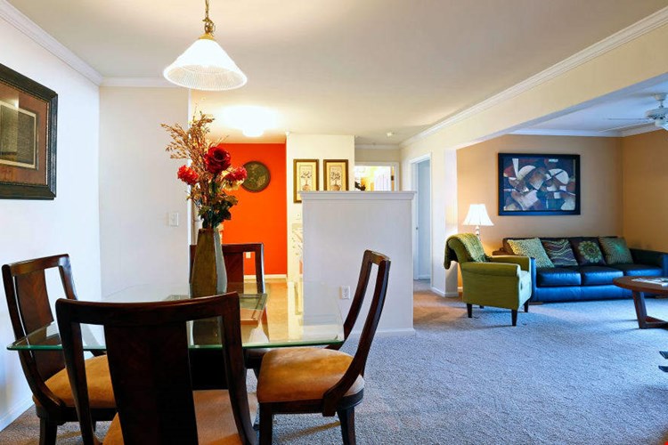 The Reflections of West Creek Image 6