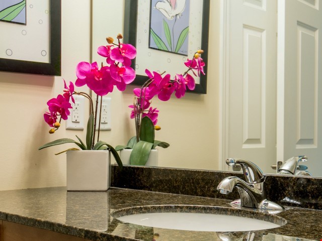 Water's Bend Image 18