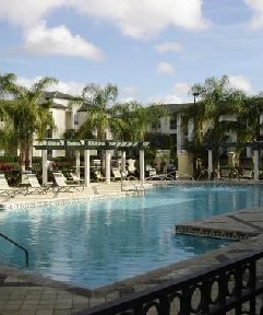 Allegro Palm Image 6