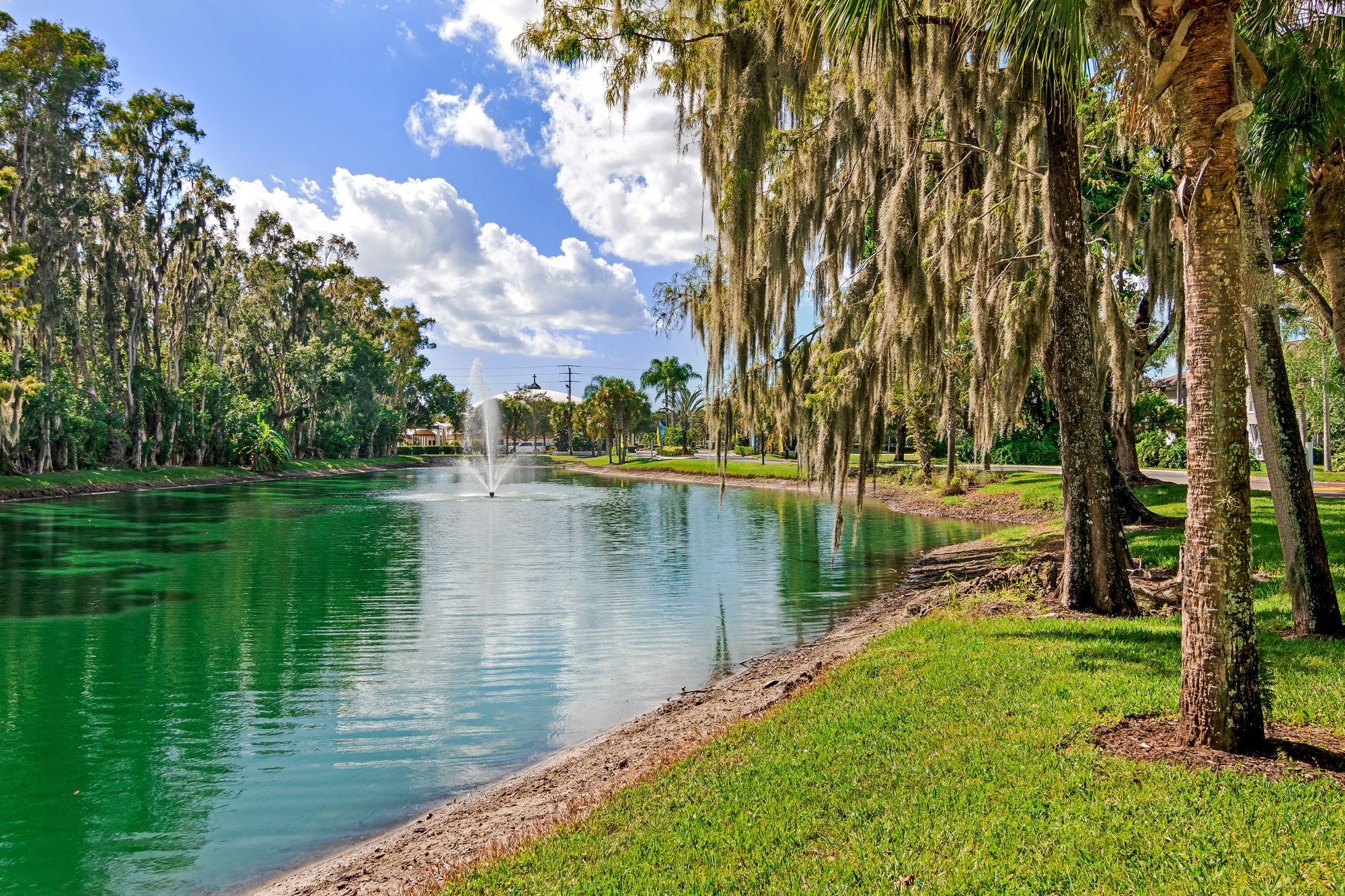 Arium Citrus Run Image 23