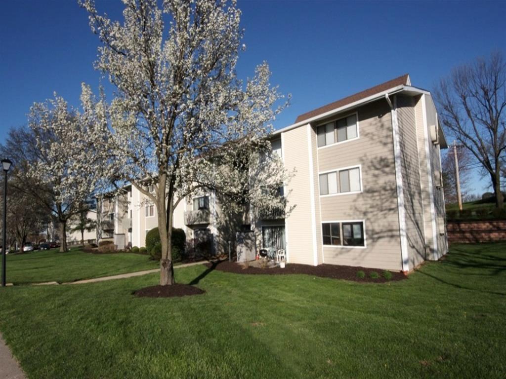 The Pavilion Image 8