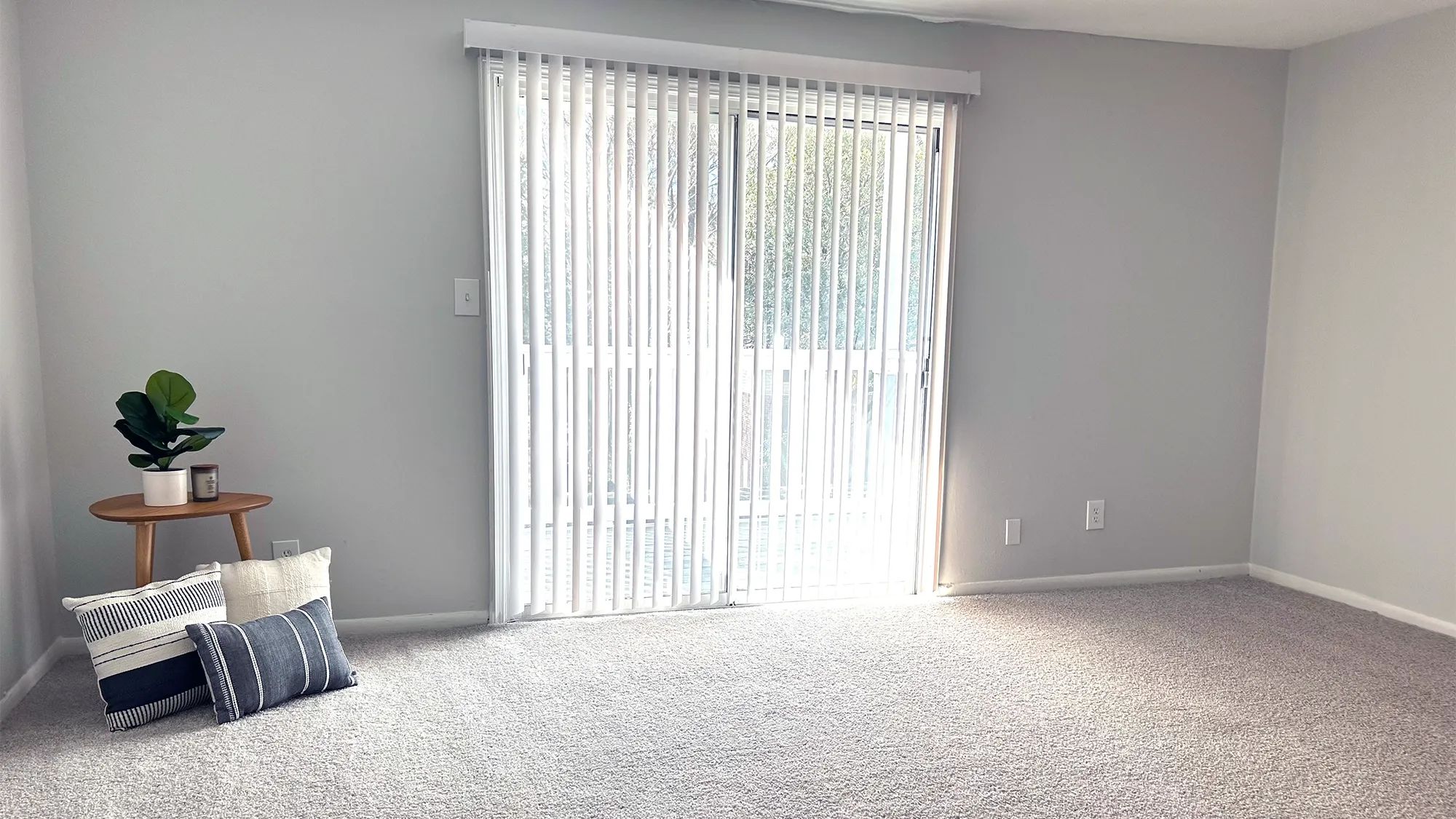 Our living rooms boast plenty of natural light!