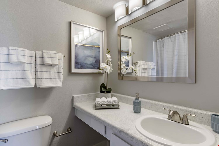 Presidio North Apartments Image 24