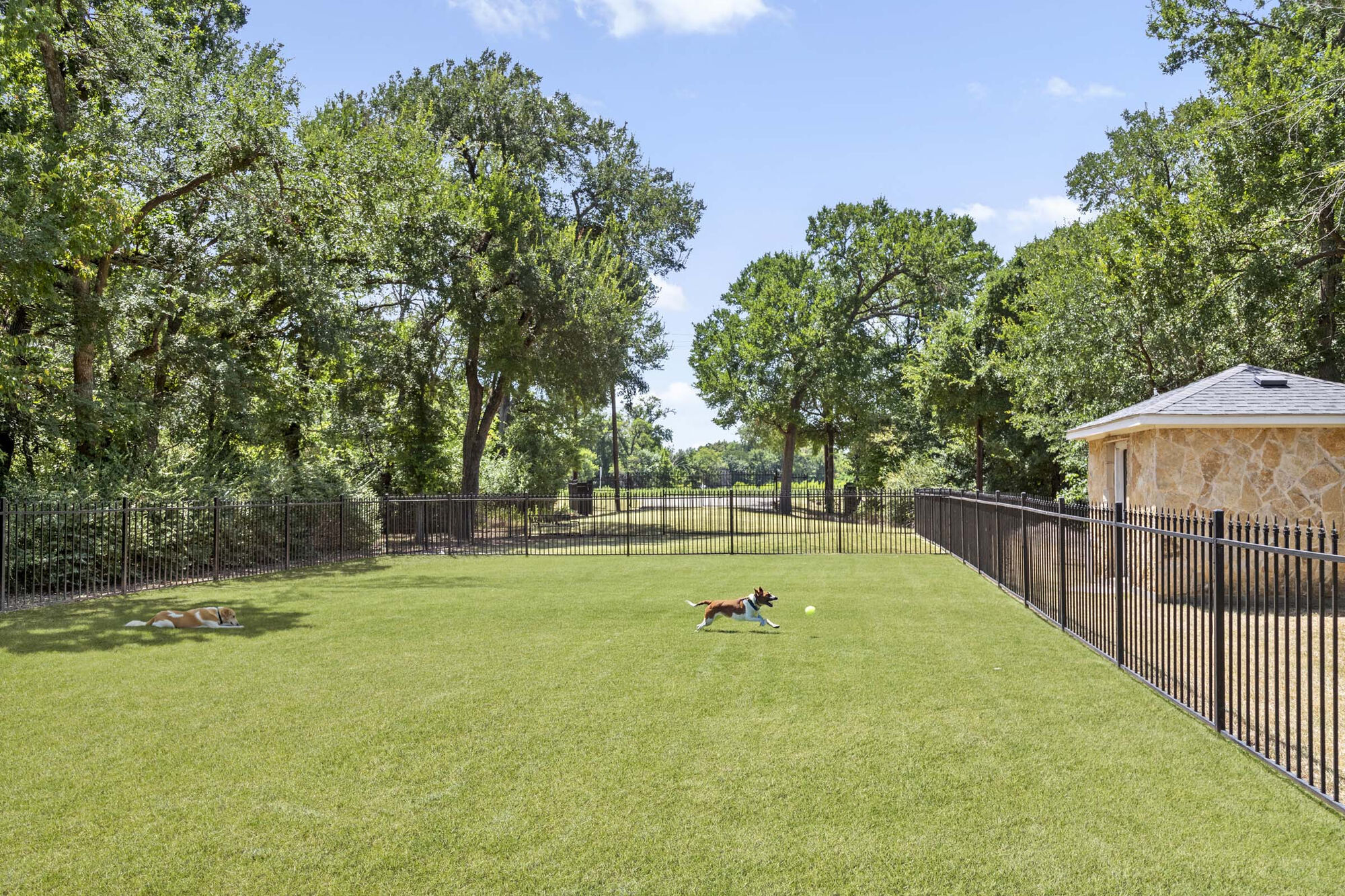 Camden Riverwalk Image 45