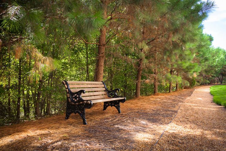 Centerville Manor Image 22