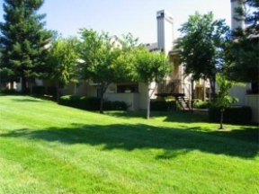 The Park on Riley Image 4