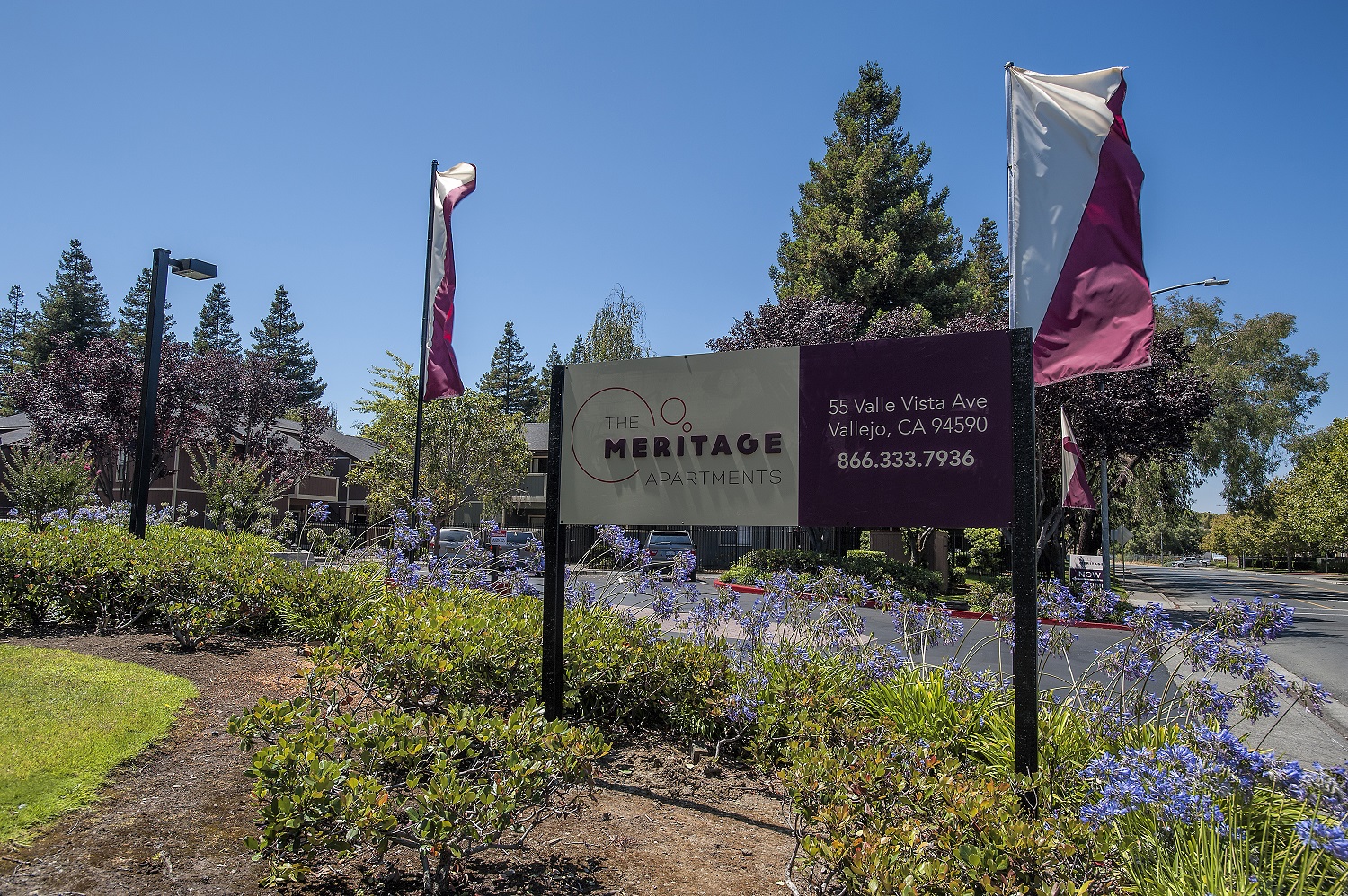 The Meritage Image 25