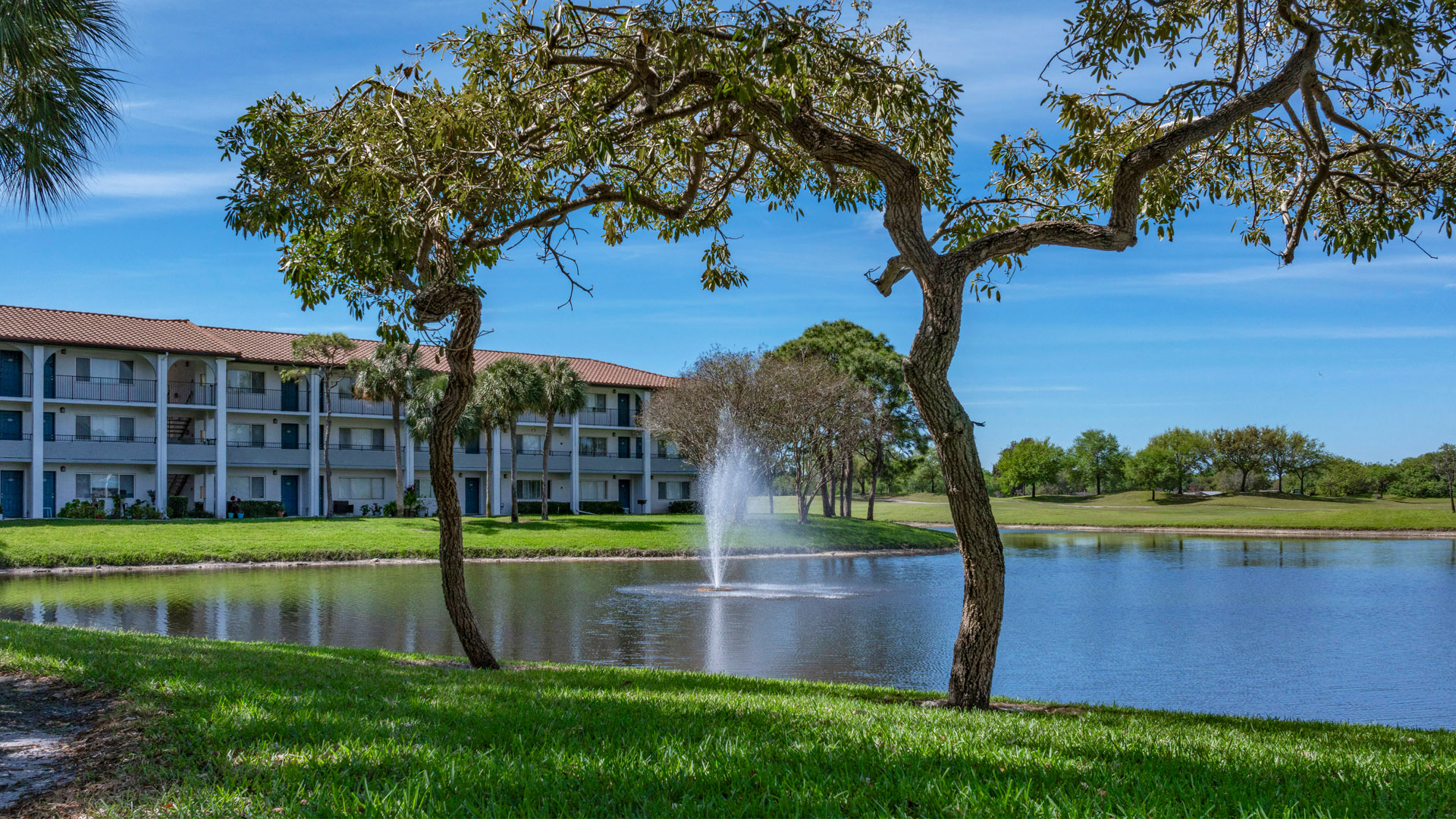 Cameron Cove Image 16