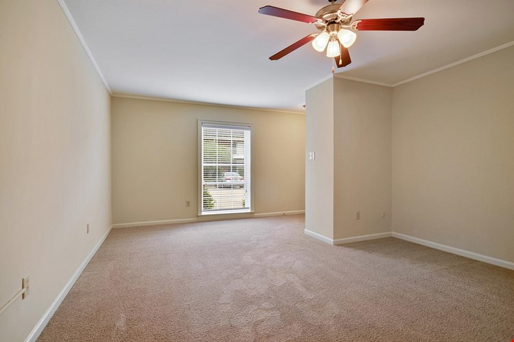 The Patrician Apartments Image 7