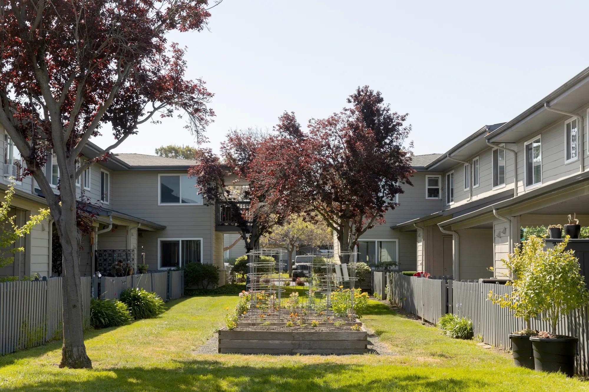 Chesapeake Point Image 9