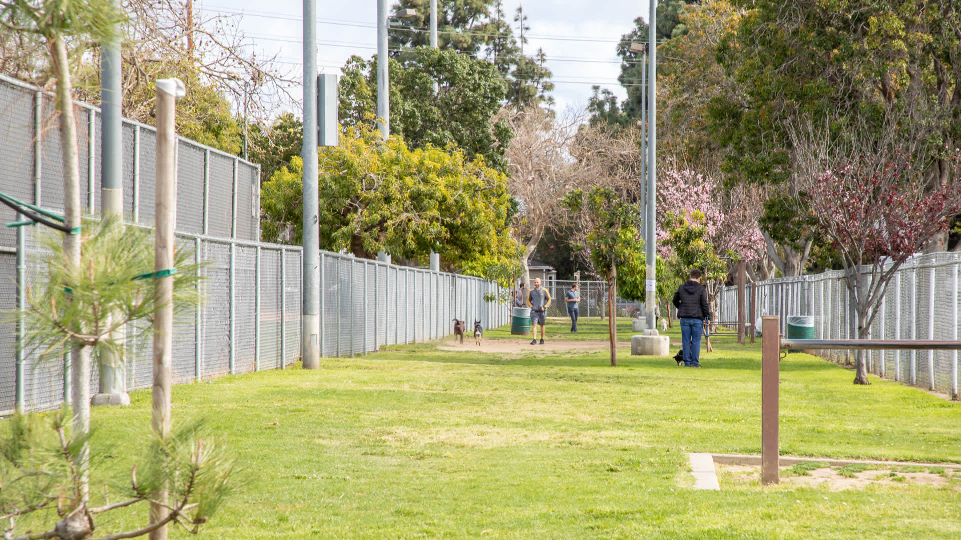 Westside on Beloit  Image 16