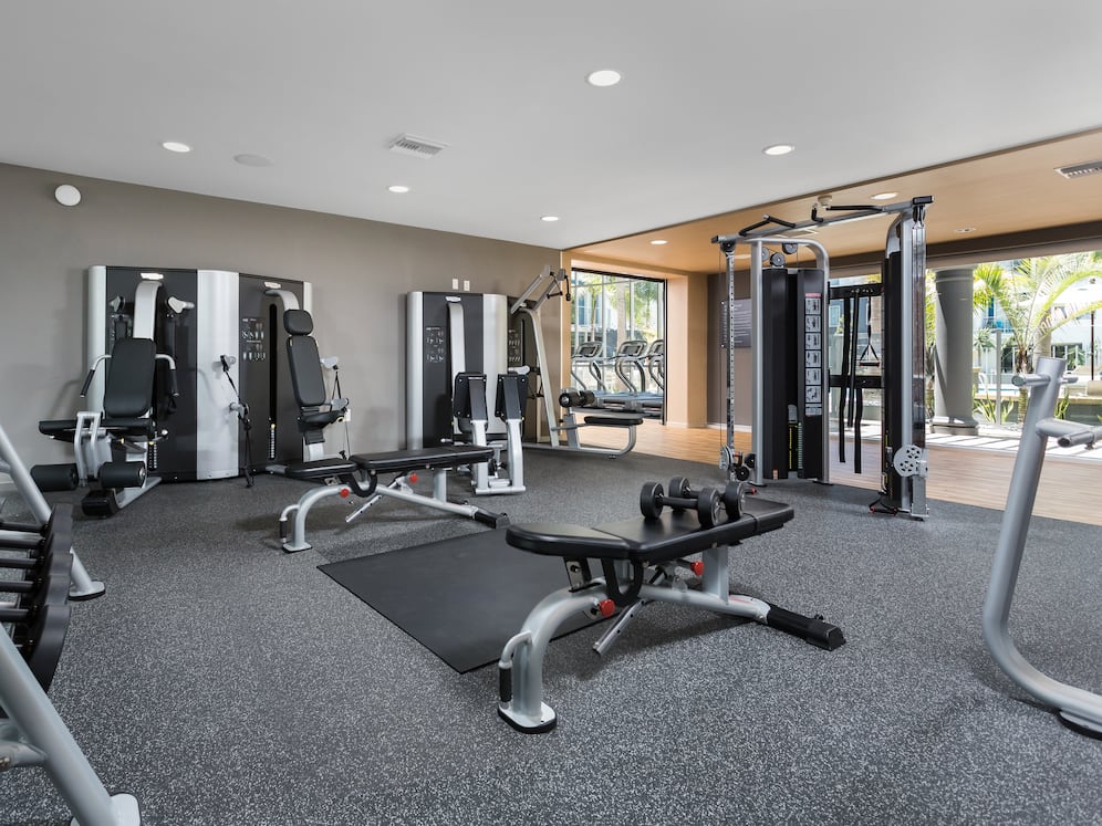 Fitness Center with Strength Equipment