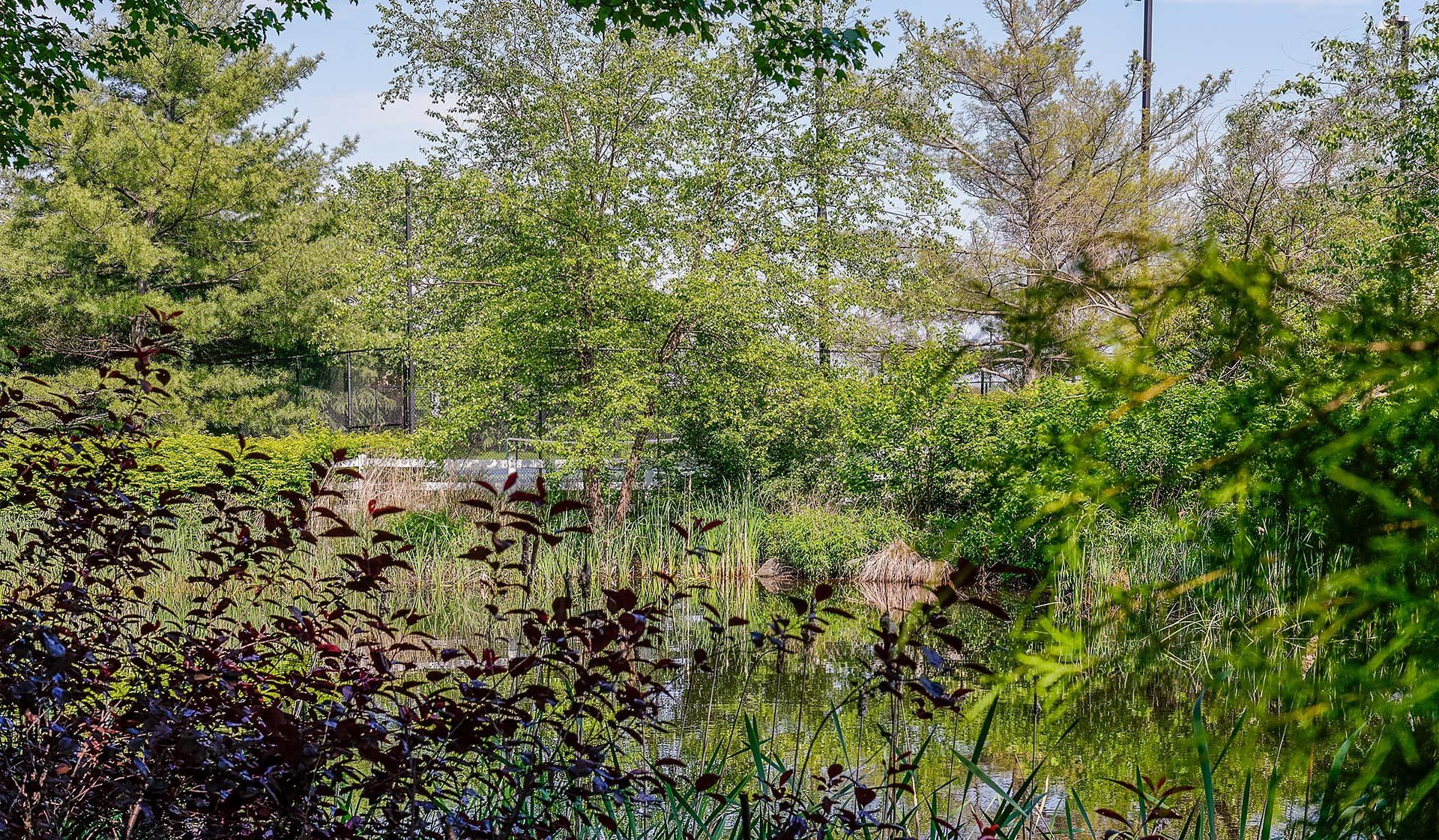 Tour our lush grounds