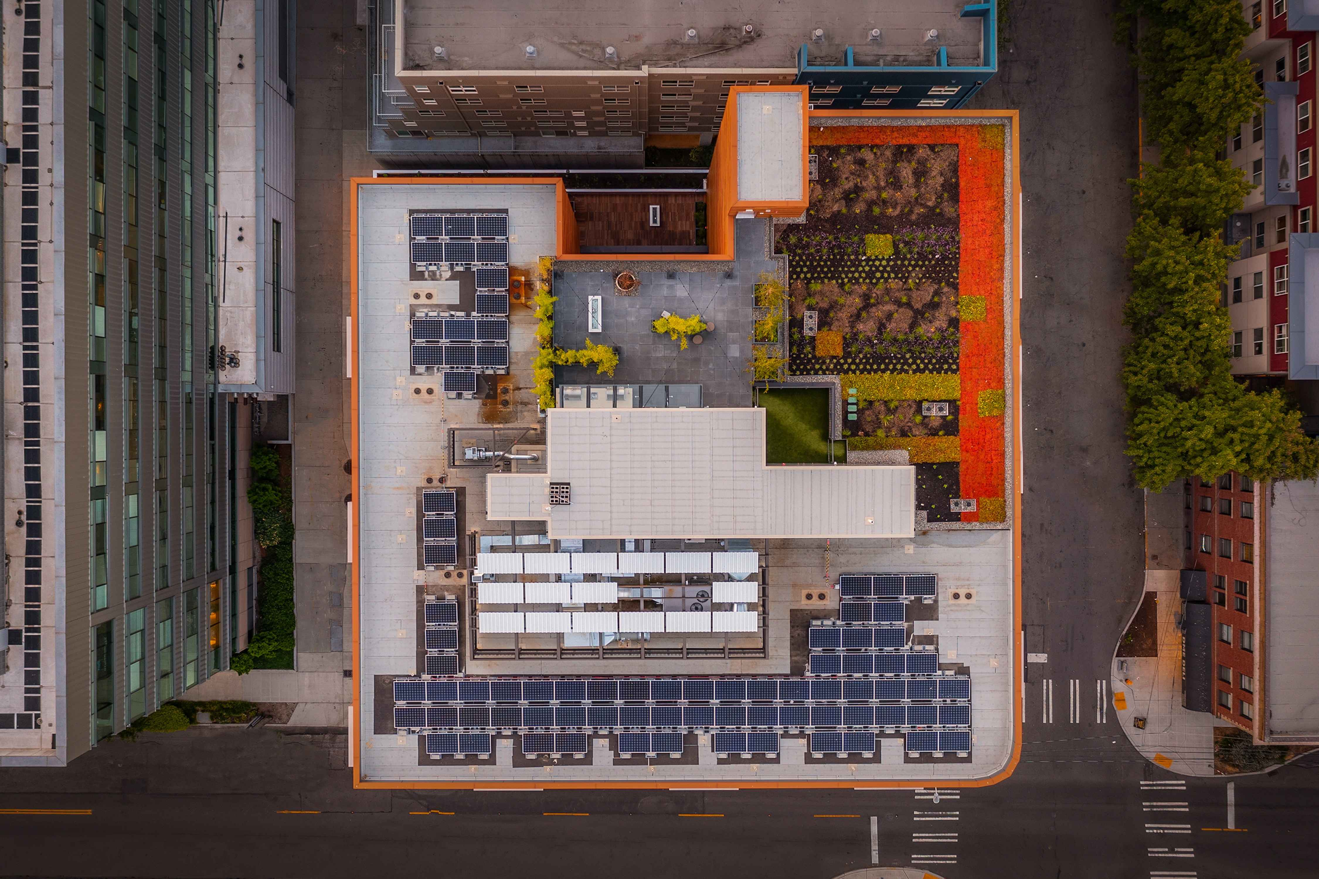 Shoresmith Image 15