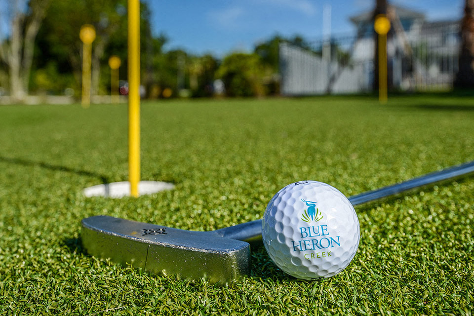 Blue Heron Living Image 22