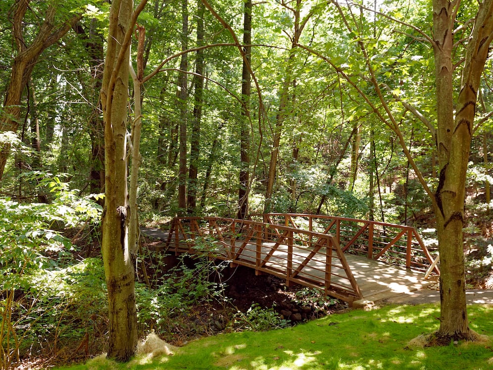 Nearby wooded nature trail running routes and pathways