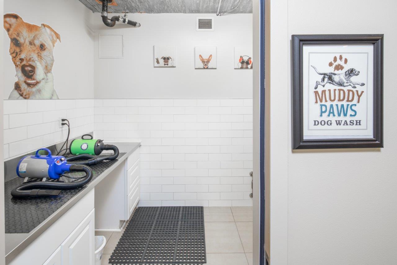 Pet Washing Station