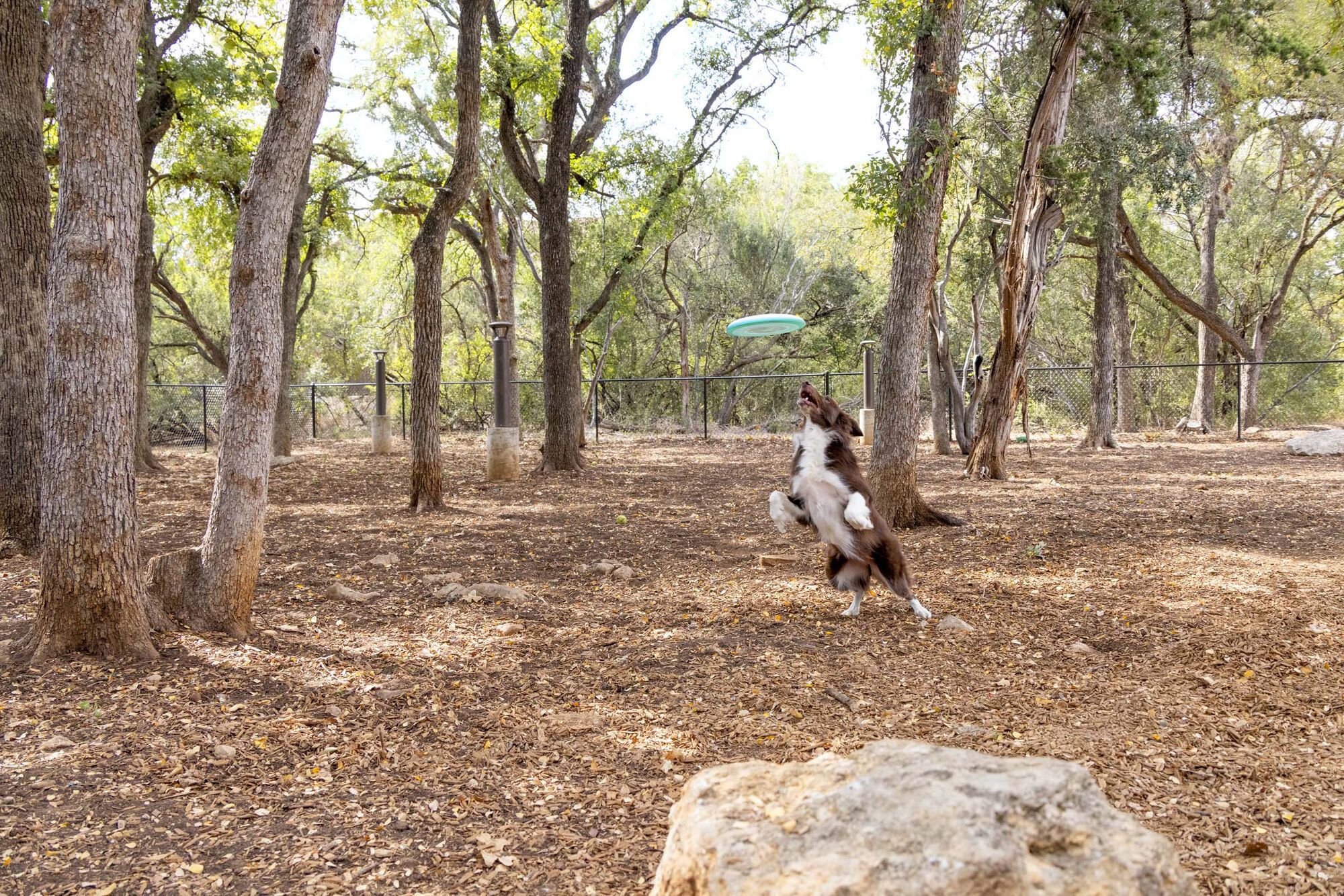 Camden Gaines Ranch Image 35