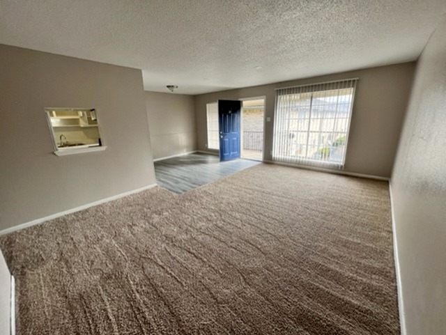 Palms at Chimney Rock Image 6